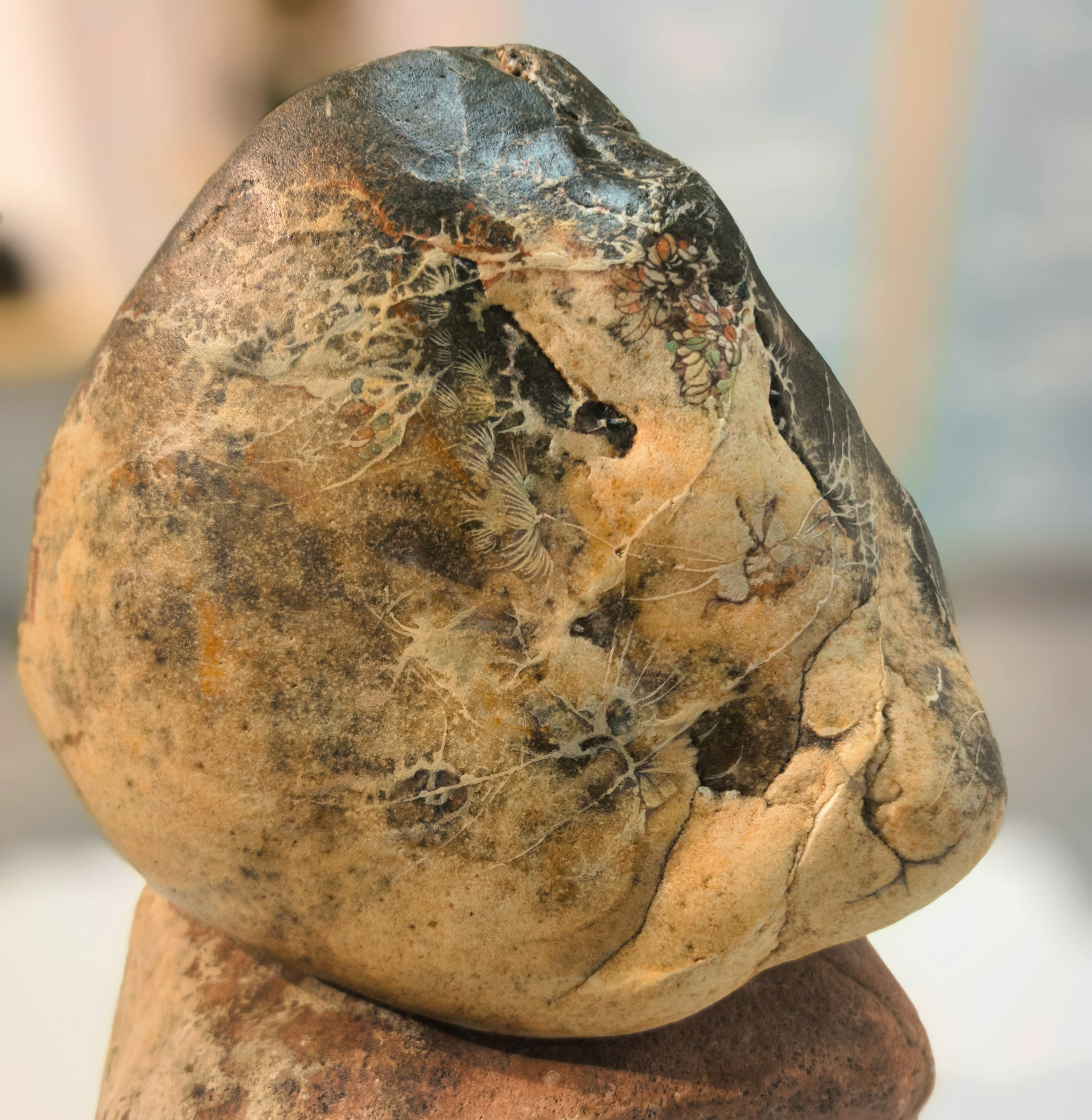 Hand-painted：Lucky Rabbit